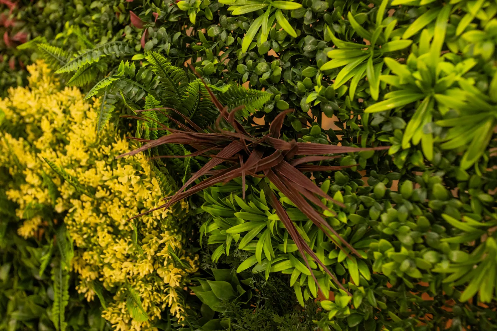 Dettaglio della parete verde del loft con felci, piante gialle e foglie rosse